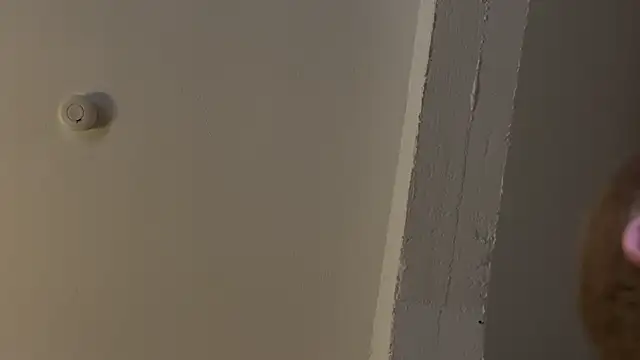 AndyLD20x6 online show from 11.29.25