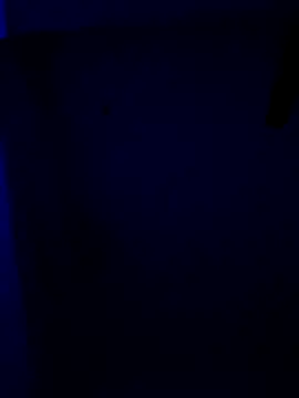 RADHIKA-1143 online show from 12.23.25