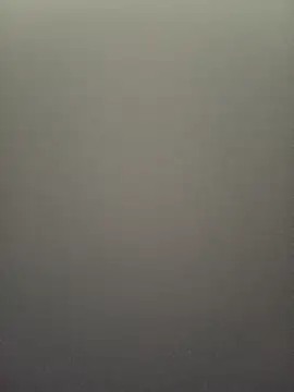 gatitachula93 online show from 03.11.26