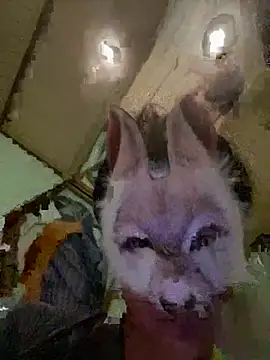 Snapshot of aotaro0721 chatting on 02.27.26 aotaro0721 online show from 02.27.26