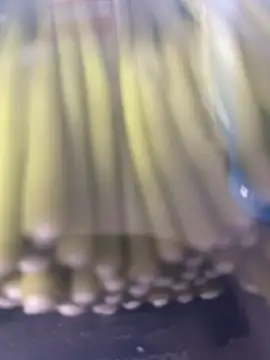 Ghost-Zero online show from 03.21.26