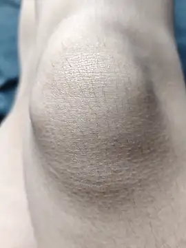 Snapshot of Miky_Lyn chatting on 02.18.26 Miky Lyn online show from 02.18.26