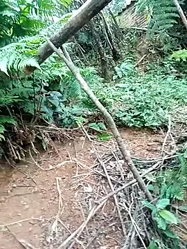 ava-dellght online show from 01.17.26