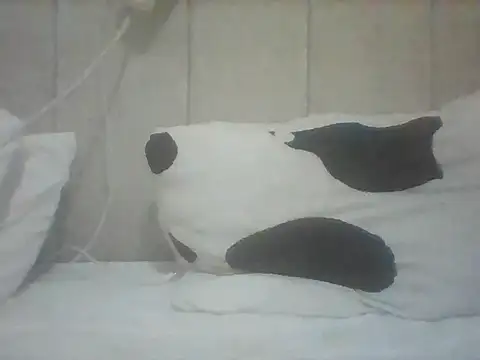 Snapshot of Thand03 chatting on 05.26.26 Thand03 online show from 05.26.26