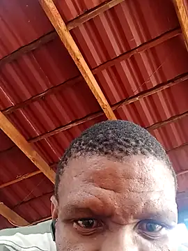 msindo online show from 04.09.26