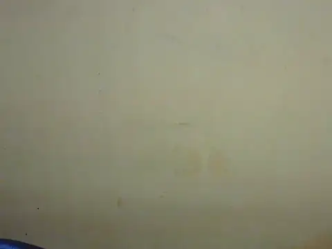 Exotic tanvi online show from 02.19.26