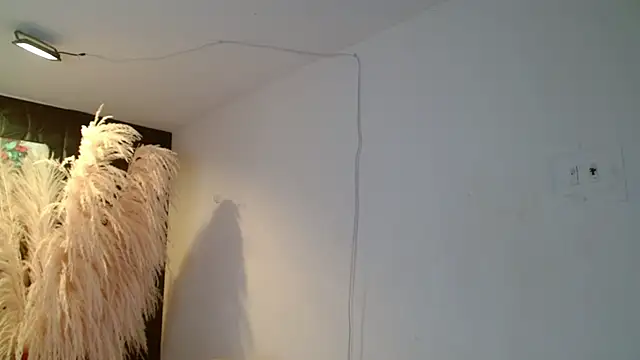 paisita1609 online show from 03.05.26