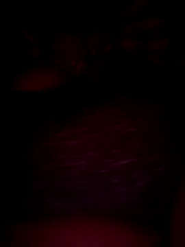 pihuu1313 online show from 02.20.26