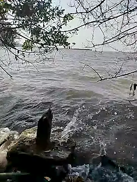 Snapshot of Andreskelly chatting on 02.16.26 Andreskelly online show from 02.16.26