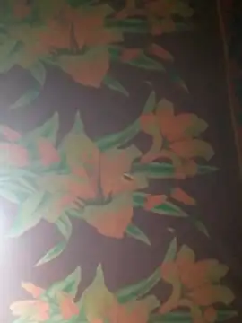 yana-zz online show from 04.12.26