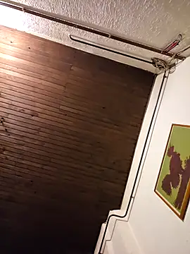 andelija online show from 12.20.25