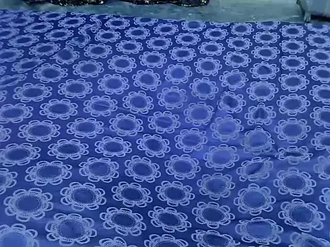 Snapshot of Proxy_Paige chatting on 01.31.26 Proxy Paige online show from 01.31.26