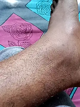 Nick universal online show from 01.15.26