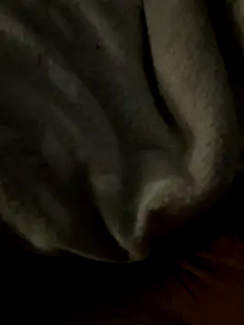 kb20sss online show from 12.14.25