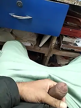 mohit08desi online show from 01.10.26