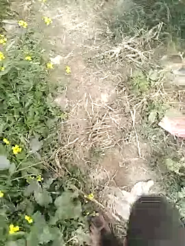 mohit08desi online show from 01.19.26