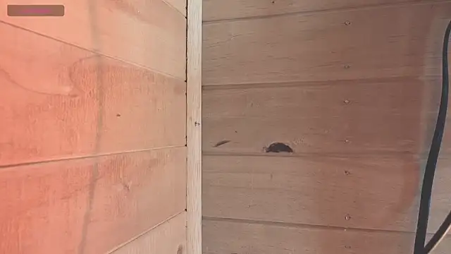 Snapshot of vickvalencia2 chatting on 06.23.26 vickvalencia2 online show from 06.23.26