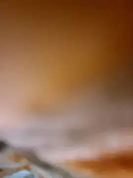 Snapshot of aman4404 chatting on 01.08.26 aman4404 online show from 01.08.26