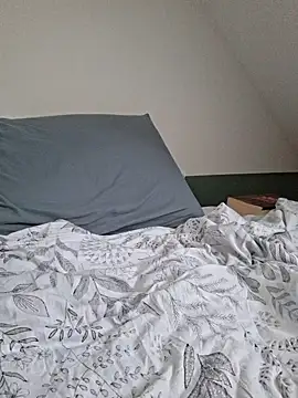 Snapshot of Ghost_Pie chatting on 04.13.26 Ghost Pie online show from 04.13.26