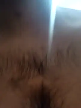 bnglrboy0886 online show from 02.07.26