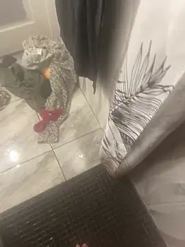 Miguel 667 online show from 02.09.26