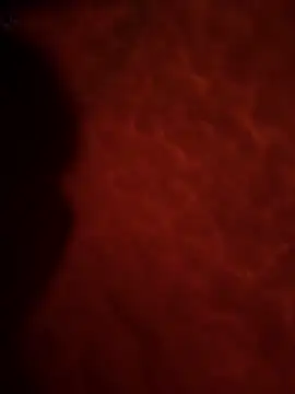 Snapshot of Sweetley chatting on 02.02.26 Sweetley online show from 02.02.26