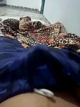 WPS15 online show from 01.11.26