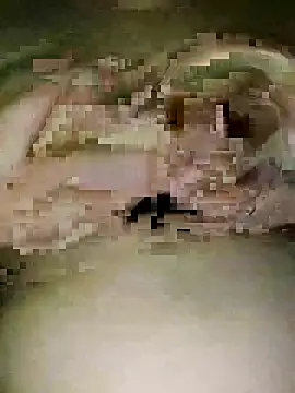 Lobna-66 online show from 04.07.26