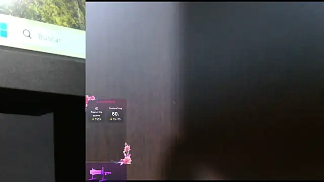 Snapshot of Shasapet chatting on 01.11.26 Shasapet online show from 01.11.26