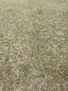 Tamilpaiyan07 online show from 02.01.26