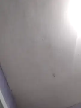 vanNe78 online show from 02.28.26