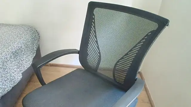 Sofii unicorn online show from 01.07.26