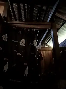 Money moneylove online show from 12.23.25