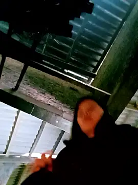 DIANAKUTE online show from 01.08.26