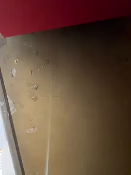 Snapshot of lele202526 chatting on 04.01.26 lele202526 online show from 04.01.26