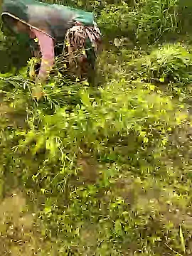 Snapshot of hornycouple20000 chatting on 01.08.26 hornycouple20000 online show from 01.08.26