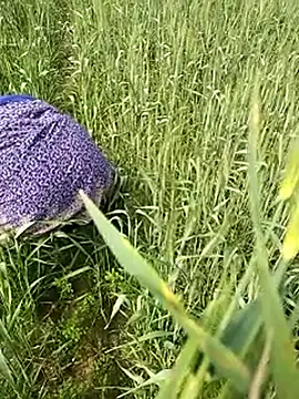 Snapshot of hornycouple20000 chatting on 02.01.26 hornycouple20000 online show from 02.01.26