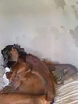 babepear online show from 02.25.26