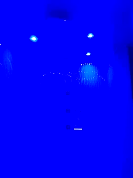 Snapshot of HORSELEG45 chatting on 02.01.26 HORSELEG45 online show from 02.01.26