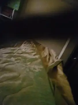 Xavlex0803 online show from 04.17.26