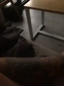 psilocibina22 online show from 02.20.26