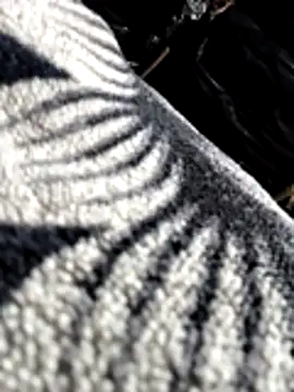 Snapshot of Bhavna8080 chatting on 02.20.26 Bhavna8080 online show from 02.20.26