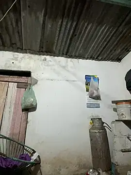 calientmex online show from 02.13.26