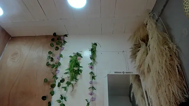 Alice randyy online show from 02.10.26