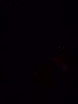 laperracobarde online show from 01.13.26