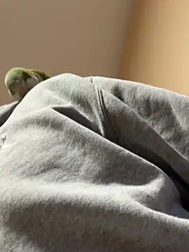 Snapshot of Andres56ojh chatting on 02.14.26 Andres56ojh online show from 02.14.26