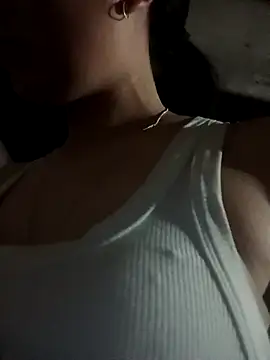 Snapshot of vesla-2k chatting on 04.11.26 vesla-2k online show from 04.11.26