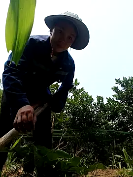 Snapshot of vanvan005 chatting on 04.08.26 vanvan005 online show from 04.08.26