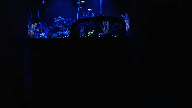 Snapshot of EspanolVato chatting on 02.15.26 EspanolVato online show from 02.15.26