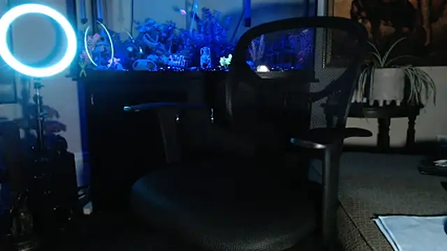 Snapshot of EspanolVato chatting on 02.21.26 EspanolVato online show from 02.21.26